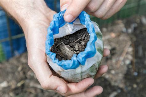 biodegradable materials learning  nature packaging connections