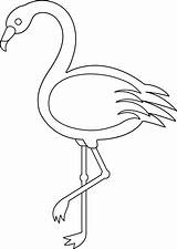 Flamant Flamingo Futurama Coloring sketch template