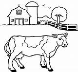 Pasture Coloring Cow Coloringcrew sketch template