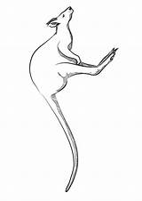 Kangaroo Jumping Coloring Pages Parentune Worksheets sketch template