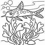 Coloring Seaweed Catfish Pages Cartoon Cliparts Clipart Colouring Getcolorings Getdrawings Kelp Print Library Bestofcoloring sketch template