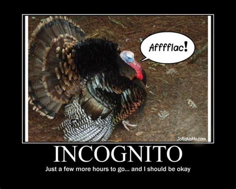 check out this funny meme jeremy s house of funny funny thanksgiving pictures funny
