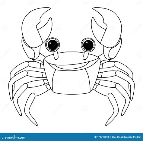 outline template  crab  white background stock vector