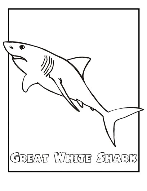 printable coloring pages sharks customize  print