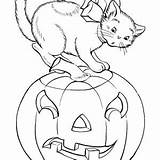 Coloring Pumpkins Halloween Cat Fruit sketch template