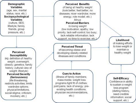 health belief model psych mental health hub