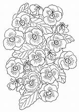 Coloring Pages Flowers Flower Blumen Malvorlagen Viooltjes Coloringpages1001 Animated Ausmalbilder Colouring Choose Board Gif sketch template