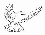 Dove Outline Clipart Drawing Holy Library Spirit sketch template