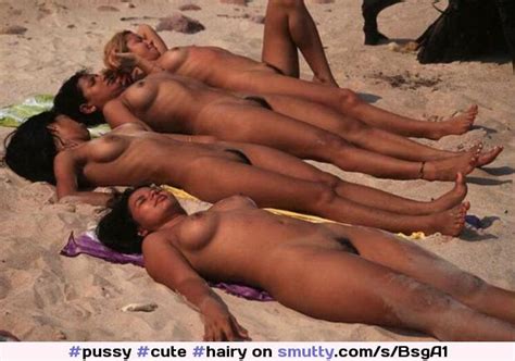 Pussys In A Row Videos And Images Collected On