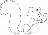 Squirrel Coloring Pages Kids Printable Color Print Animals sketch template