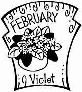 February Birthstone Violet Coloring Flower Pages sketch template