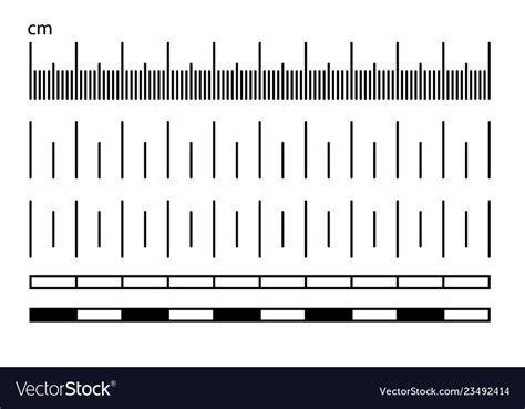 ruler scale measure length measurement scale chart isolated vector