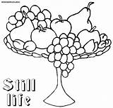 Still Life Coloring Pages Clipart Print Book Library Designlooter Drawings Popular 59kb 1000 sketch template