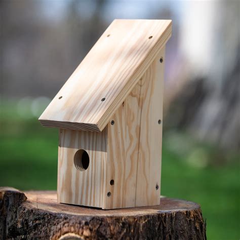 wooden birdhouse kit mutual adoration post
