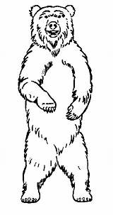 Standing Grizzly Cliparts Wikiclipart Teddy Clipartmag Tattling Coloriages Ours Clipartfox Colorier Pluspng Clipartix sketch template