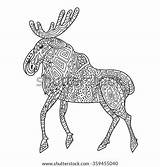Coloring Elk Adult Zentangle Stress Therapy Anti Doodle Vector Baikal Illustration Style Shutterstock Monochrome Geometric Isolated Sketch Pattern Background Footage sketch template