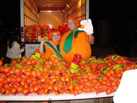 Orange Festival Netherlands Pickchur
