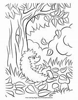 Coloring Fall Hedgehog Leaves Pages Printable Mandala Primarygames Ebook Tree sketch template