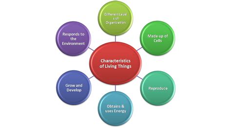 edutech characteristics  living