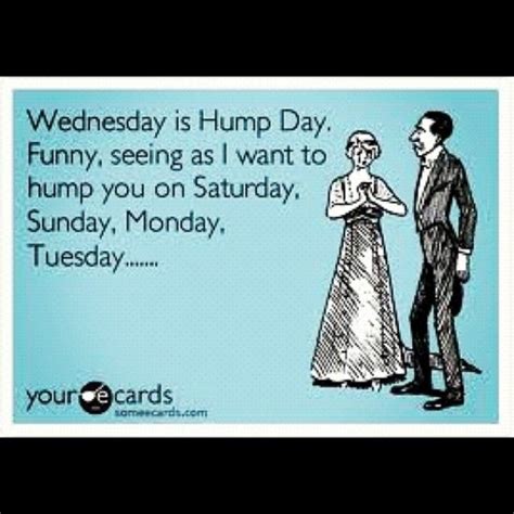 hump day quotes we need fun