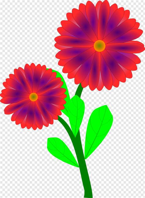 flower clipart spring flowers clip art hd png