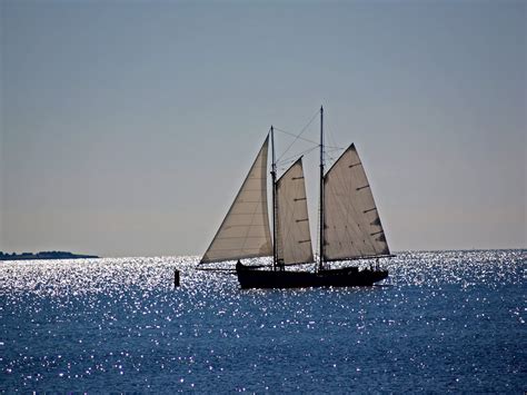 silverback sails  sun
