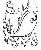 Coloring Pages Fish Clipart Cute Ocean Easy Printable Library Line sketch template