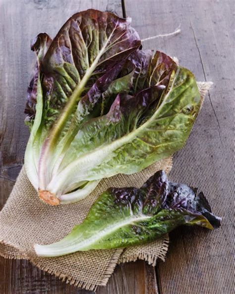 The 10 Healthiest Superfoods Sorry Kale Mindbodygreen
