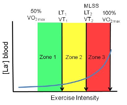 intensity zones defined  physiological determination    scientific diagram