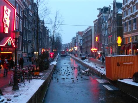 red light district picture of red light district amsterdam tripadvisor