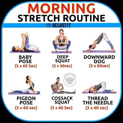 Morning Stretch Routine 🥳 Here Are Some Great Stretching Drills A