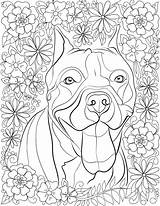 Coloring Pit Dogs Book Adults Bull Bulls Print Stress Pets Destress sketch template