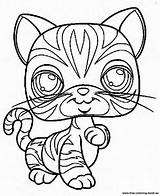 Coloring Lps Pet Pages Shop Littlest Printable Cat Print Collie Little Coloriage Chat Do Kids Sheets Popular Book Clipart Lizard sketch template