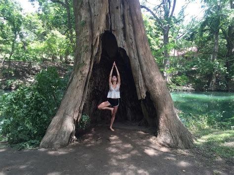 comp tree pose   tree yoga