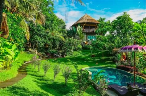 famous airbnb ubud villa treehouse  hammock bed