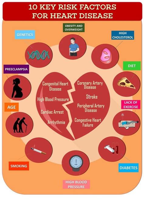 key risk factors for heart disease infographic disease