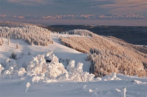 ski alpin langlauf winterwandern schneeskulpturen schwarzwald