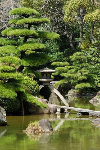 jardin japonais quelles plantes et arbres pour un jardin zen