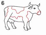 Cow Draw Drawing Step Show Easy Drawings Horse Sketches Gif Spots Steps Cool Second sketch template