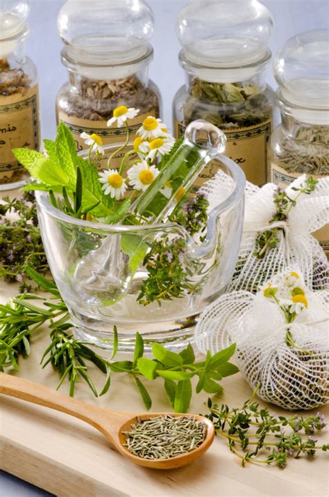 herbal remedies for treating allergies