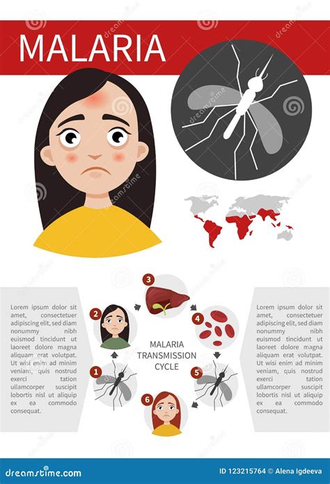 Malaria Infographic Stock Vector Illustration Of Asian 123215764