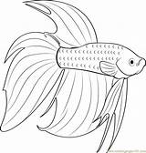 Fish Betta Siamese Coloringideas Coloringpages101 Wickedbabesblog sketch template