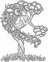 Coloring Tree Life Pages Popular sketch template