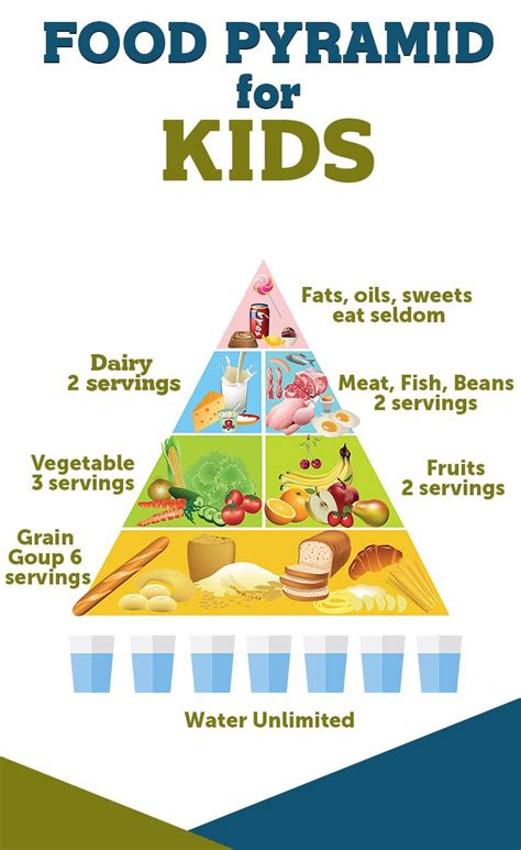 food pyramid  kids food pyramid kids food pyramid