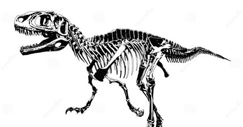 dinosour bones  fossil digging kit large dinosaur series  learn