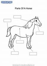 Schoolmykids Horses sketch template