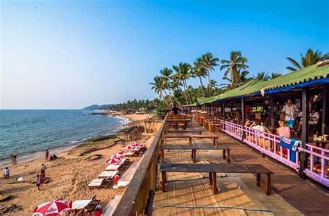 top 10 amazing spots to experience nightlife in goa trans india travels