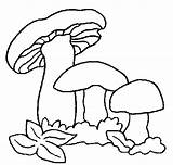Coloring Pages Mushrooms Mushroom Animated Picgifs Coloringpages1001 Per Greeting Pintar Do sketch template