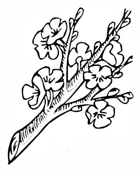 blossoming branch coloring page  printable coloring pages