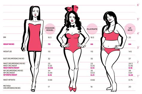 The Ideal Female Body 10 Interesting Facts